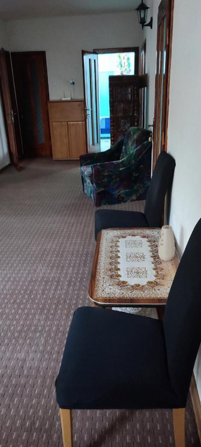 Casa Rebeca Ξενοδοχείο Orşova Εξωτερικό φωτογραφία