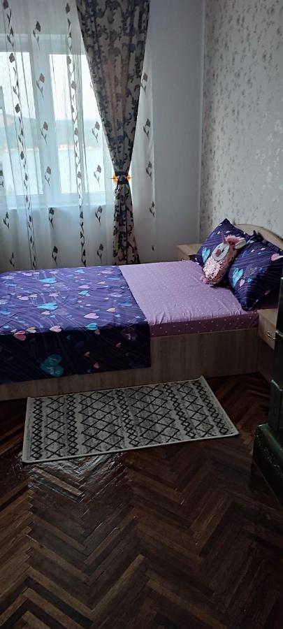 Casa Rebeca Ξενοδοχείο Orşova Εξωτερικό φωτογραφία